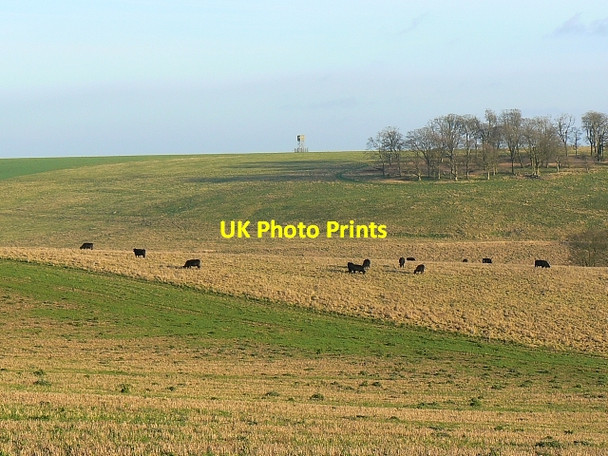 Photo 6"x4" Looking slightly south of east in Salisbury Plain Townsend\/SU0456 c2008