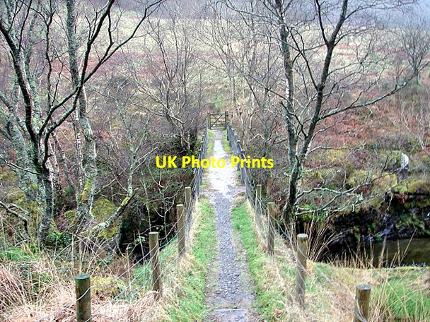 Photo 6"x4" A walk in the Rheidol Valley on a dull, wet January afternoon Ystumtuen c2008