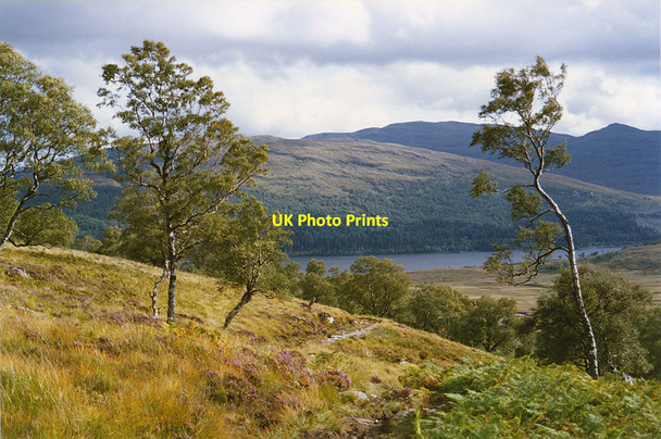 Photo 6"x4" Path leaving Coire Ardair Aberarder c1992