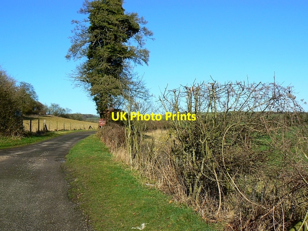 Photo 6"x4" The road to Berry Down Farm, Berry Down, Hampshire Upper Slackstead c2008