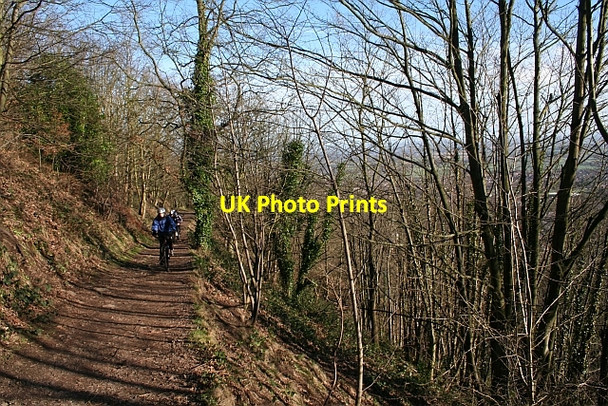 Photo 6"x4" Path Above Green Valley Great Malvern c2008