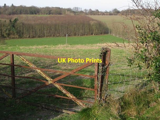 Photo 6"x4" Looking NW towards Knowlton Knowlton\/TR2853 c2008