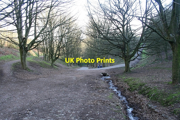 Photo 6"x4" Looking Down Green Valley Great Malvern c2008