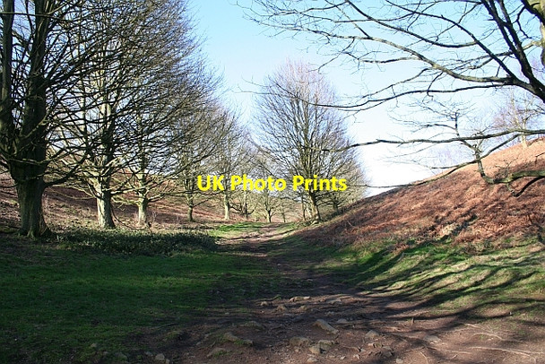 Photo 6"x4" The Green Valley Avenue Great Malvern c2008