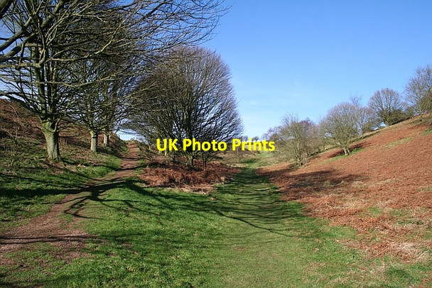 Photo 6"x4" The Top of Green Valley Great Malvern c2008