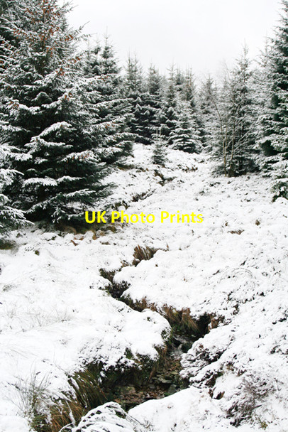 Photo 6"x4" Stream in the snow Binky Burn c2008