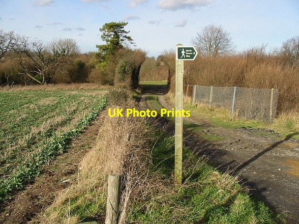 Photo 6"x4" Section of the North Downs Way parallel to the railway line Frogham\/TR2550 c2008