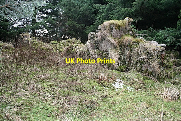 Photo 6"x4" Glenshee Croft Ardonald c2008