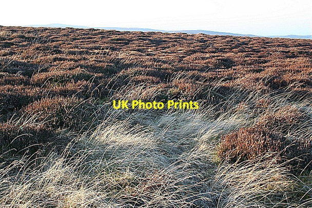 Photo 6"x4" Is this the Summit? Ardonald c2008