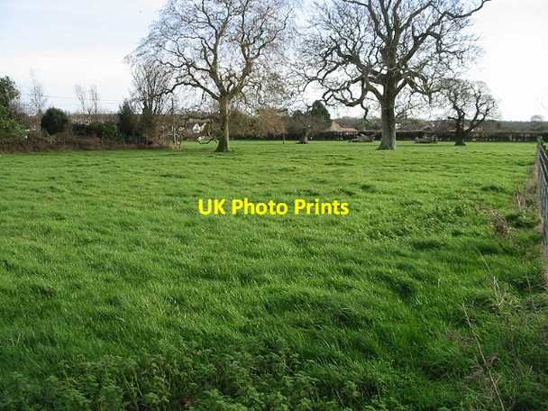 Photo 6"x4" Fields between Marley Lane and The Street, Finglesham Finglesham c2008
