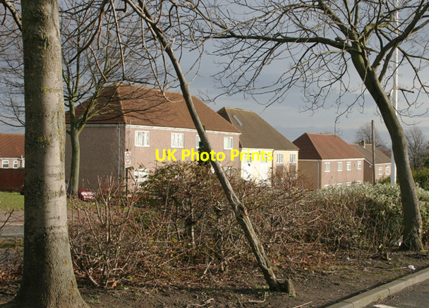Photo 6"x4" Houses in Throckley Ryton\/NZ1564 c2008