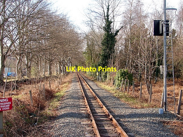 Photo 6"x4" Vale of Rheidol Railway track at Glanyrafon Aberystwyth c2008