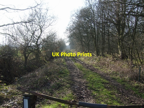 Photo 6"x4" Bridleway alongside Fullmoor Wood Hatherton\/SJ9510 c2008