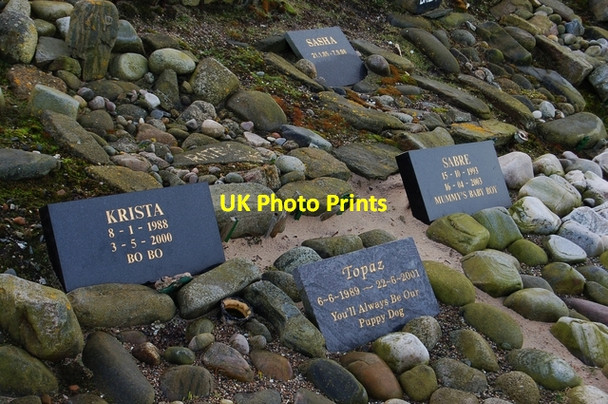 Photo 6"x4" Gravestones in Cullen Pet Cemetery Cullen\/NJ5167 c2008