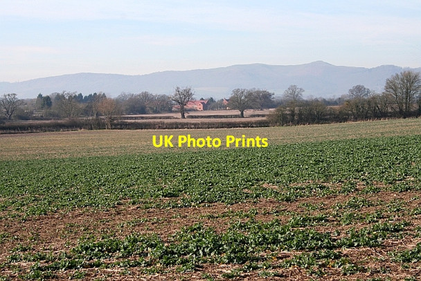 Photo 6"x4" Fields of Lower Hook Farm The Hook c2008