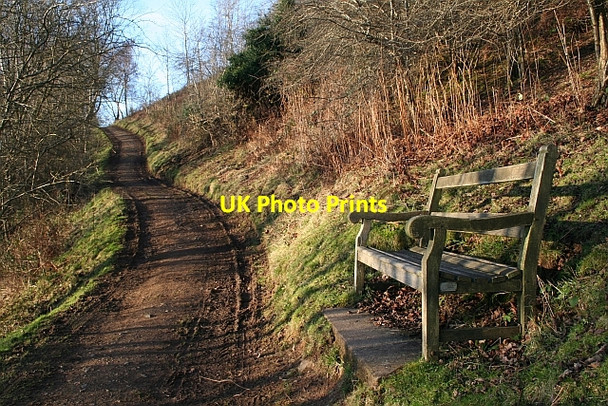 Photo 6"x4" Guest Memorial Seat Little Malvern c2008
