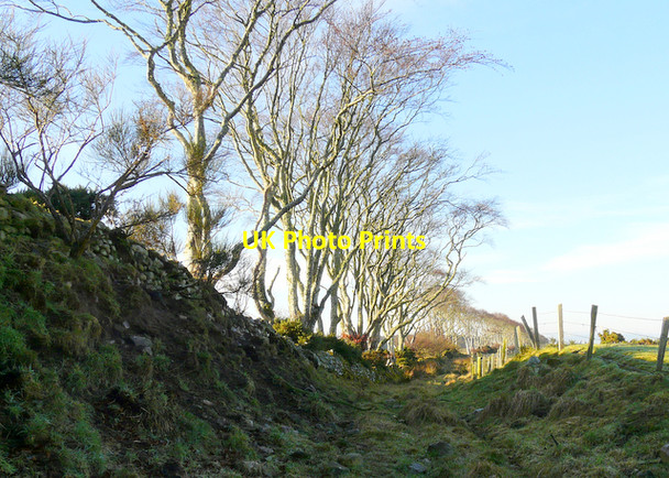Photo 6"x4" Old track near Rockfield, Tarbat Rockfield\/NH9282 c2008