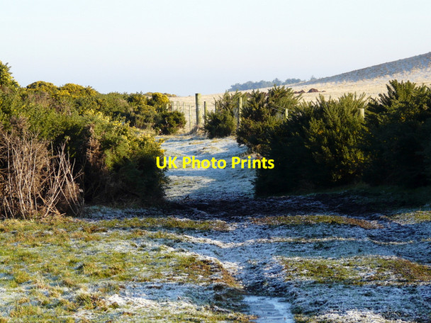Photo 6"x4" Footpath on raised beach, Tarbat Hilton\/NH9285 c2008