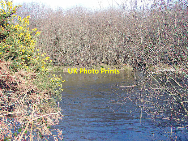 Photo 6"x4" Ford across the Rheidol Aberystwyth c2008