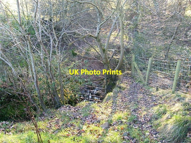 Photo 6"x4" Beck near Sebergham Castle Farm Brothybeck c2008