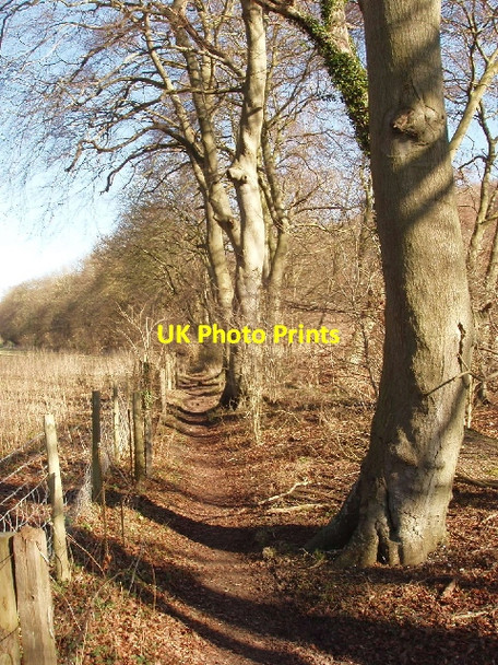Photo 6"x4" Bridleway, Fingest to Cadmore End Cadmore End c2008