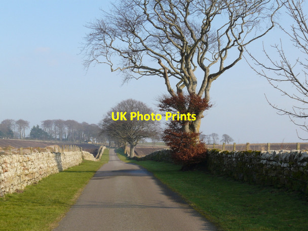 Photo 6"x4" The approach to Glenmorangie House Hilton of Cadboll c2008