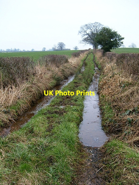 Photo 6"x4" Waterlogged bridleway to Laversdale Laversdale c2008