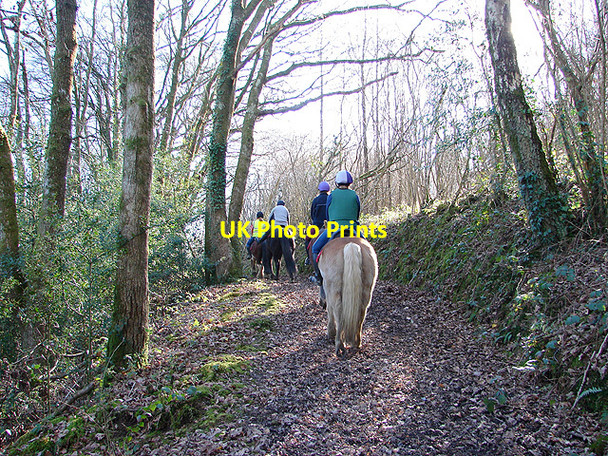 Photo 6"x4" Riding in the woods Pant-y-cr\u00fbg c2008