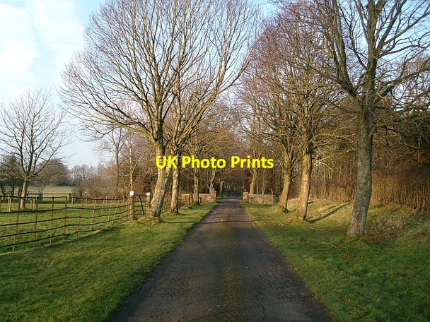 Photo 6"x4" Public Footpath leading from Scaleby Castle Barclose c2008