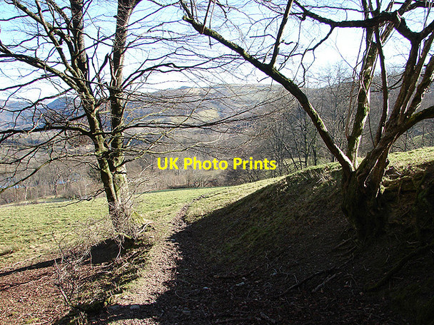 Photo 6"x4" Bridleway across Troed-rhiw-felen Nantyronen Station c2008