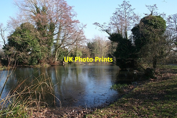 Photo 6"x4" Moat Pond Great Malvern c2008