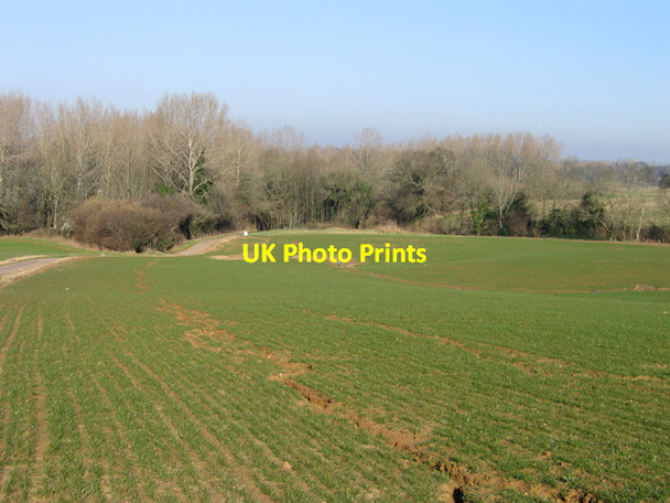 Photo 6"x4" Rill erosion in a wheat field, Nocketts Hill, Calne, Wilts Bewley Common c2008