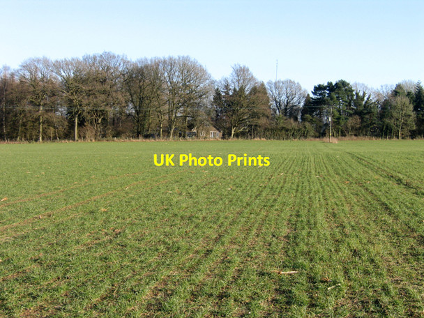 Photo 6"x4" Bungalow in the woods, Bowden Park, Calne, Wilts Bewley Common c2008