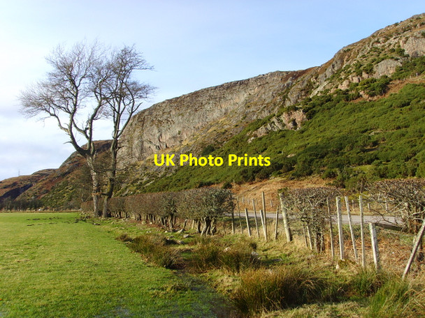 Photo 6"x4" By the A839 near Little Torboll Little Torboll c2008