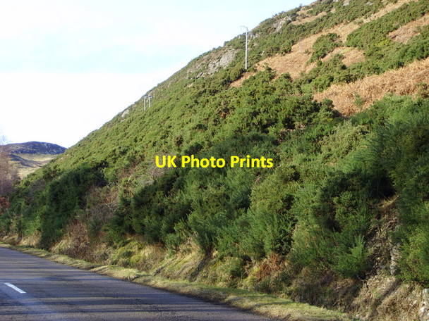 Photo 6"x4" By the A 839 Little Torboll c2008