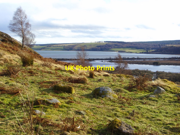 Photo 6"x4" Looking towards Loch Fleet Kirkton\/NH7998 c2008
