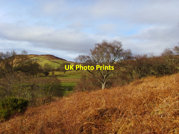 Photo 6"x4" Moorland just north of Mound Rock Kirkton\/NH7998 c2008