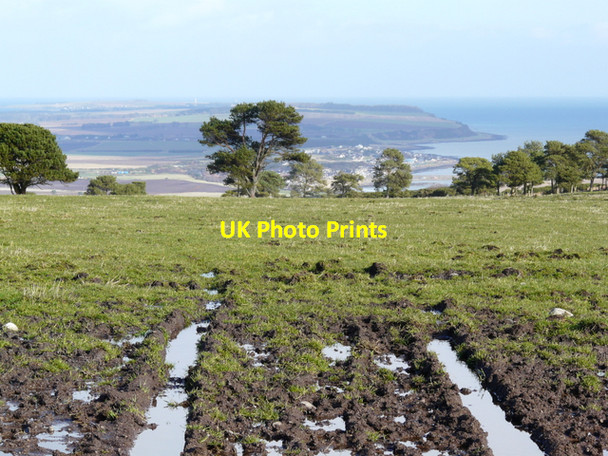 Photo 6"x4" Nigg Hill, Shandwick in the distance Pitcalnie c2008