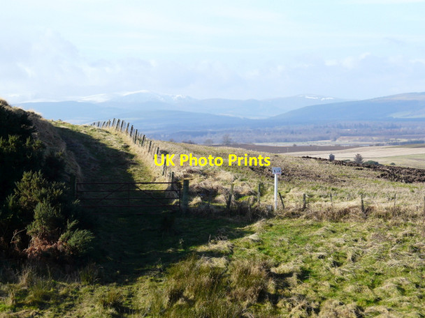 Photo 6"x4" Track near Wester  Rarichie,and snow on Ben Wyvis Shandwick c2008