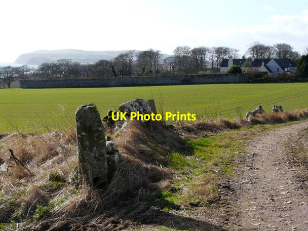 Photo 6"x4" Glenmorangie House Hilton of Cadboll c2008