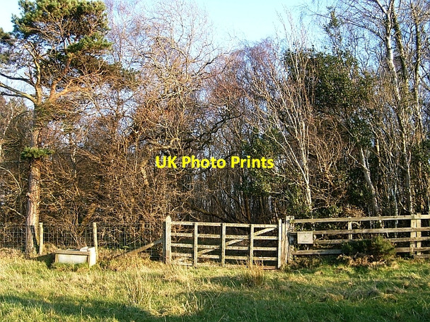 Photo 6"x4" Brothybeck Wood, gate on west side Brothybeck c2008