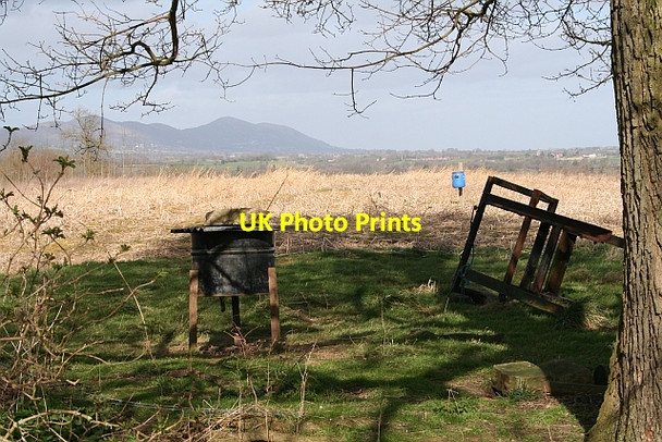 Photo 6"x4" Pheasant Feeders Berrow\/SO7934 c2008