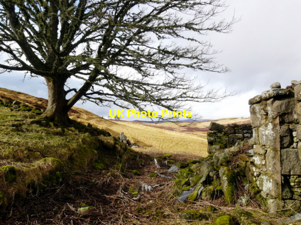 Photo 6"x4" Abandoned croft, Little Rogart Little Rogart c2008