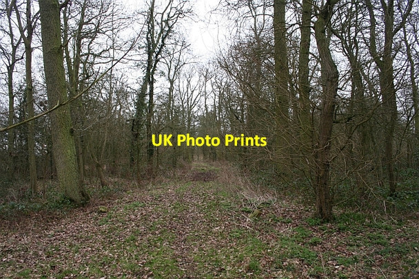 Photo 6"x4" South Inside Big Covert Duckswich c2008