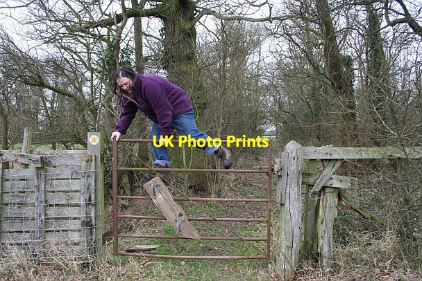 Photo 6"x4" Stepped Gate Stile Duckswich c2008