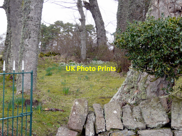 Photo 6"x4" Cottage garden near Fload Ospisdale c2008