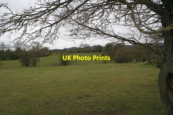 Photo 6"x4" Ridge and Furrow Hook Bank c2008