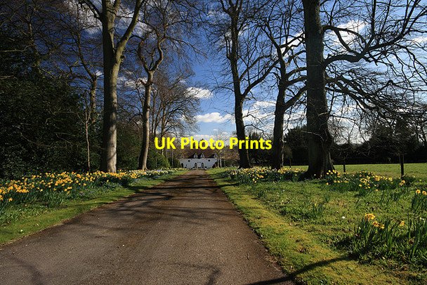 Photo 6"x4" Springtime at Houghton Lodge North Houghton c2008