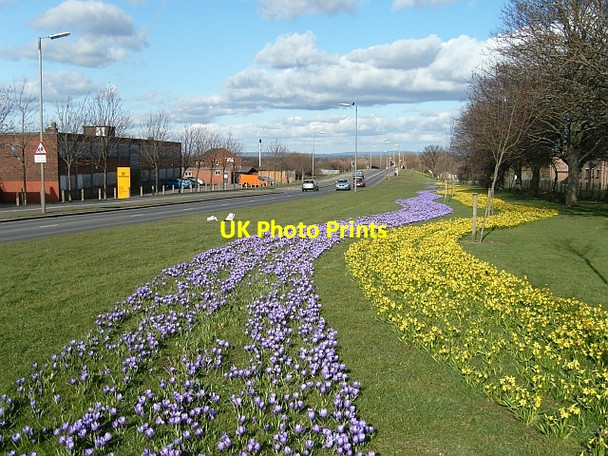 Photo 6"x4" Eastern Way, Carlisle Harraby c2008