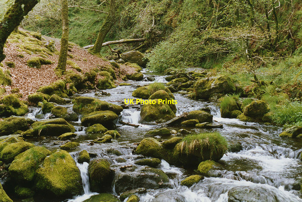 Photo 6"x4" Stream south of Dolgoch Dolgoch\/SH6504 c1997